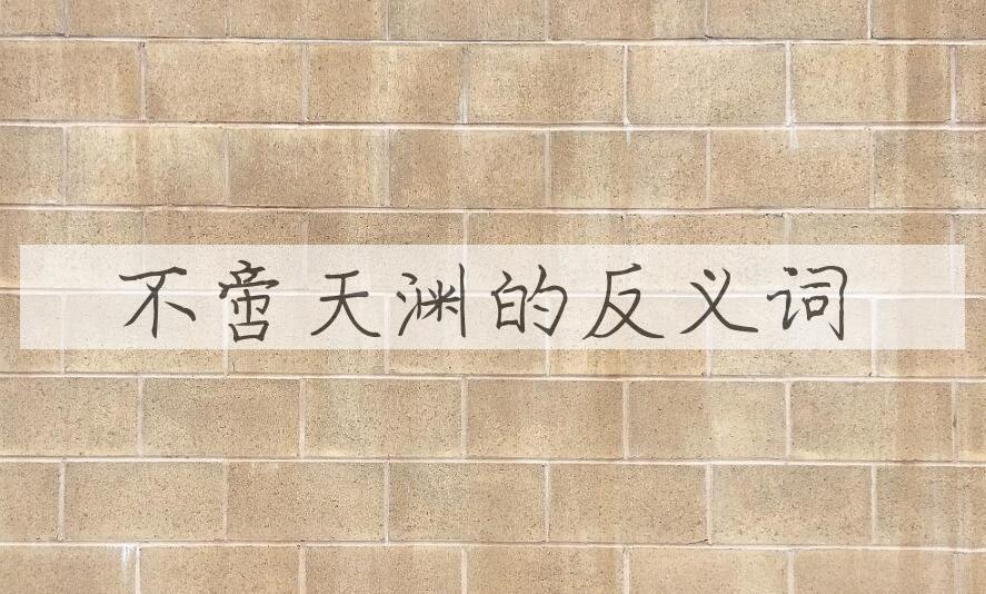 用不啻天渊造句