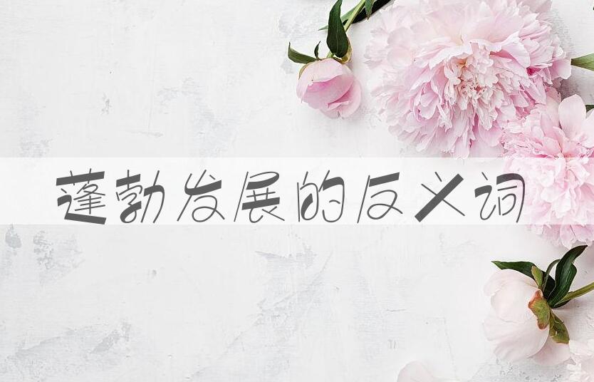 用蓬勃发展造句