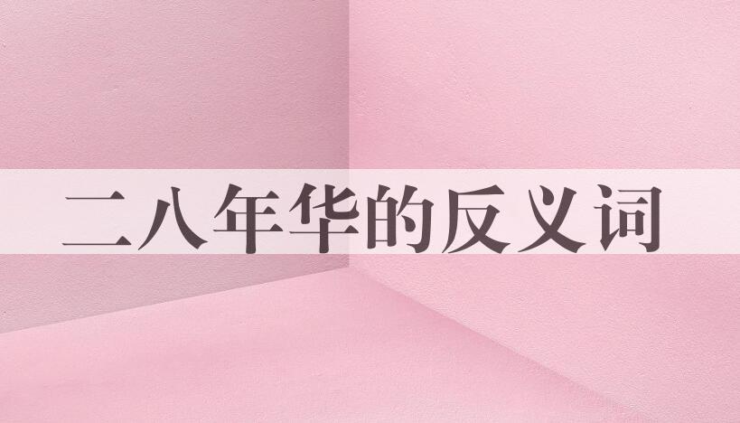 用二八年华造句