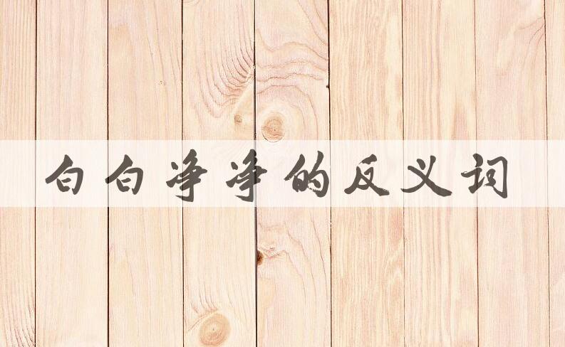 用白白净净造句