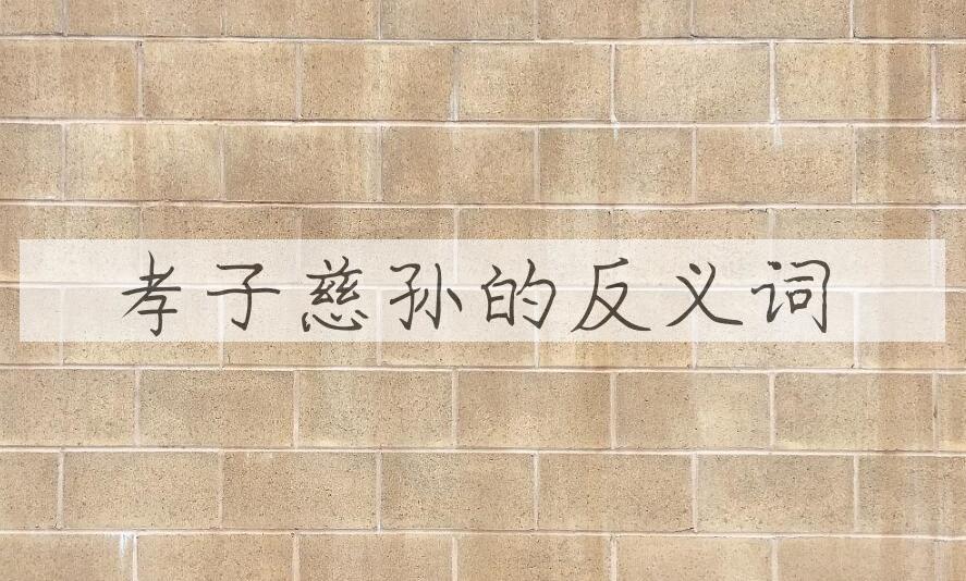 用孝子慈孙造句