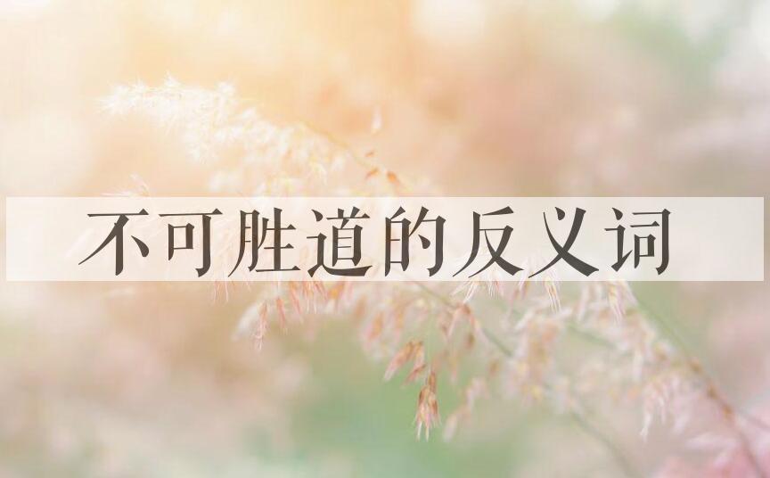用不可胜道造句