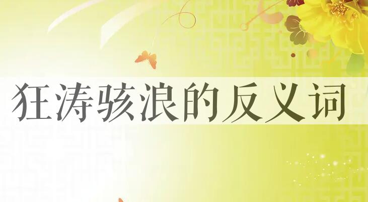 用狂涛骇浪造句