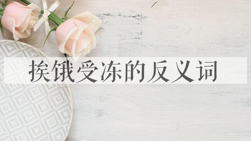 用挨饿受冻造句