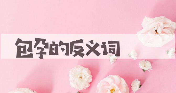 用包孕造句