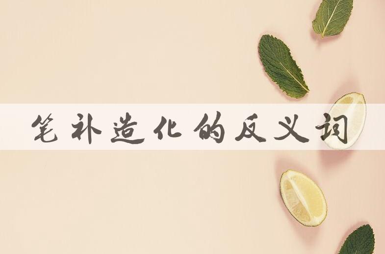 用笔补造化造句