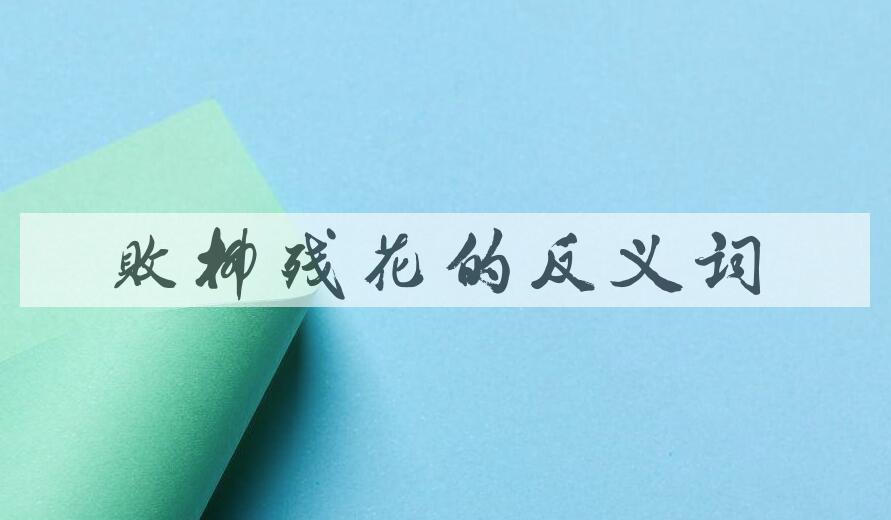 用败柳残花造句