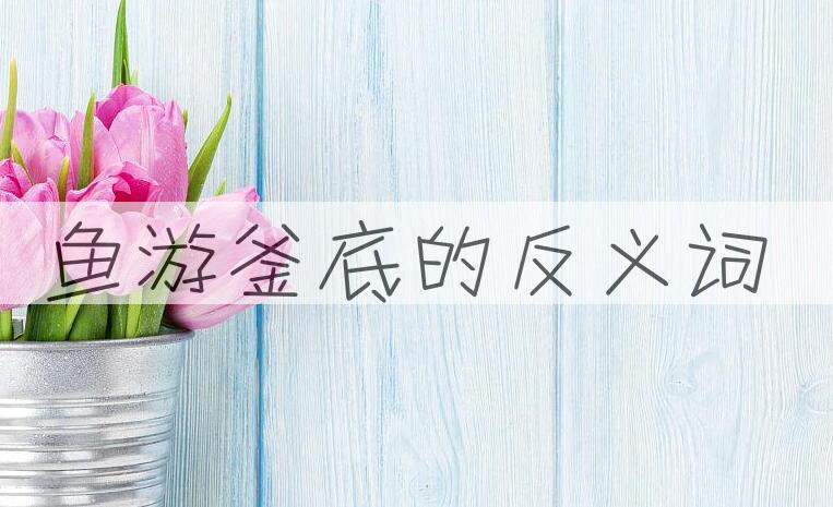 用鱼游釜底造句