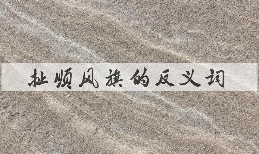 用扯顺风旗造句