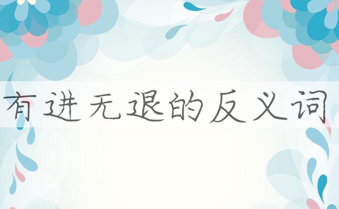 用有进无退造句