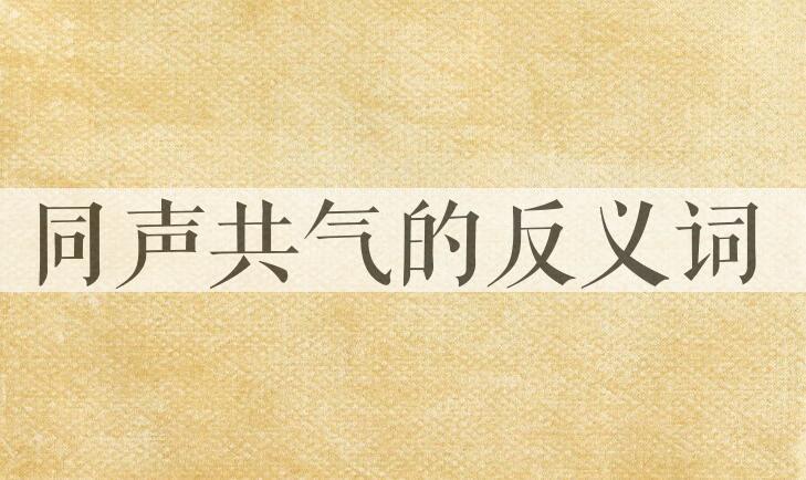 用同声共气造句
