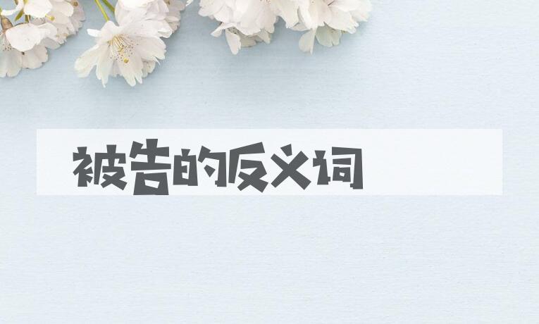用被告造句