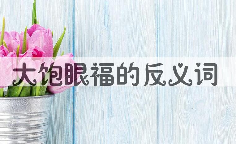 用大饱眼福造句