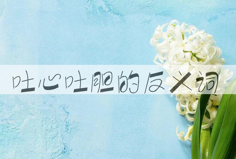 用吐心吐胆造句