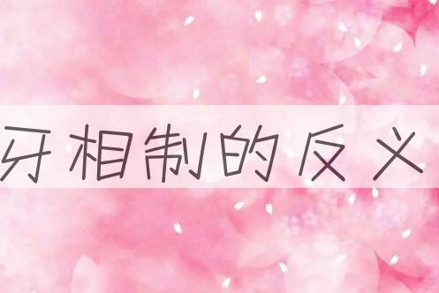 用犬牙相制造句