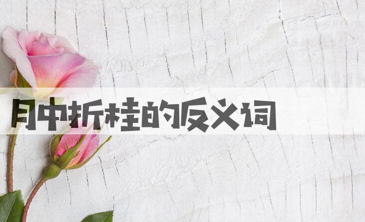 用月中折桂造句