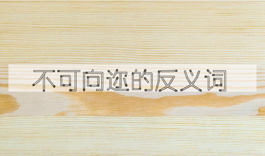 用不可向迩造句