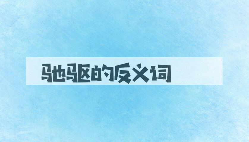 用驰驱造句