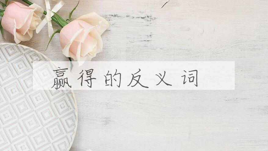 用赢得造句