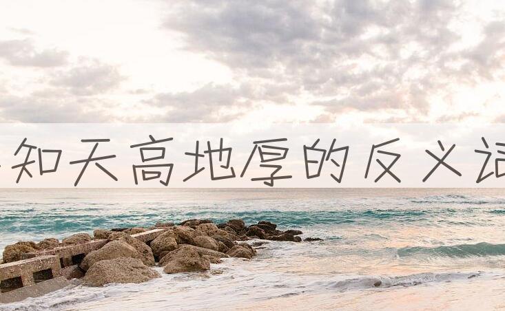 用不知天高地厚造句