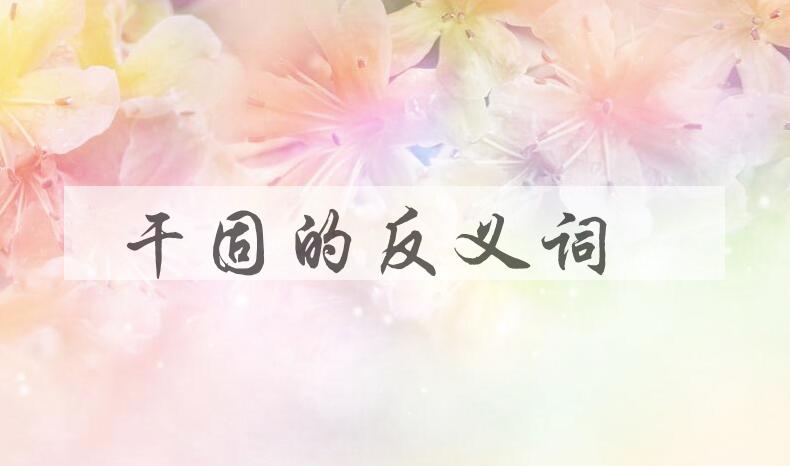 用干固造句