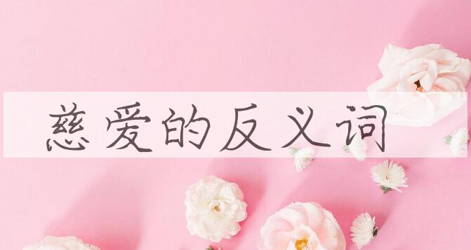 用慈爱造句