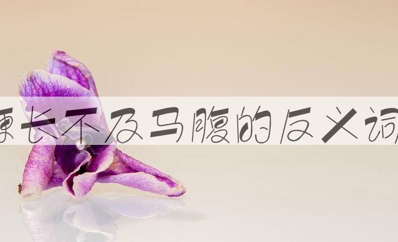 用鞭长不及马腹造句