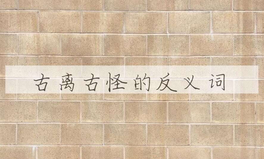 用古离古怪造句