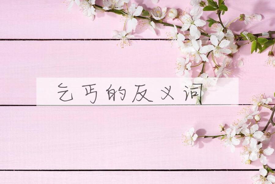 用乞丐造句