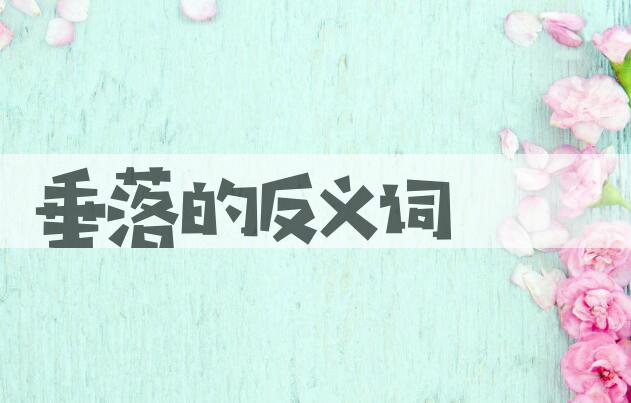 用垂落造句