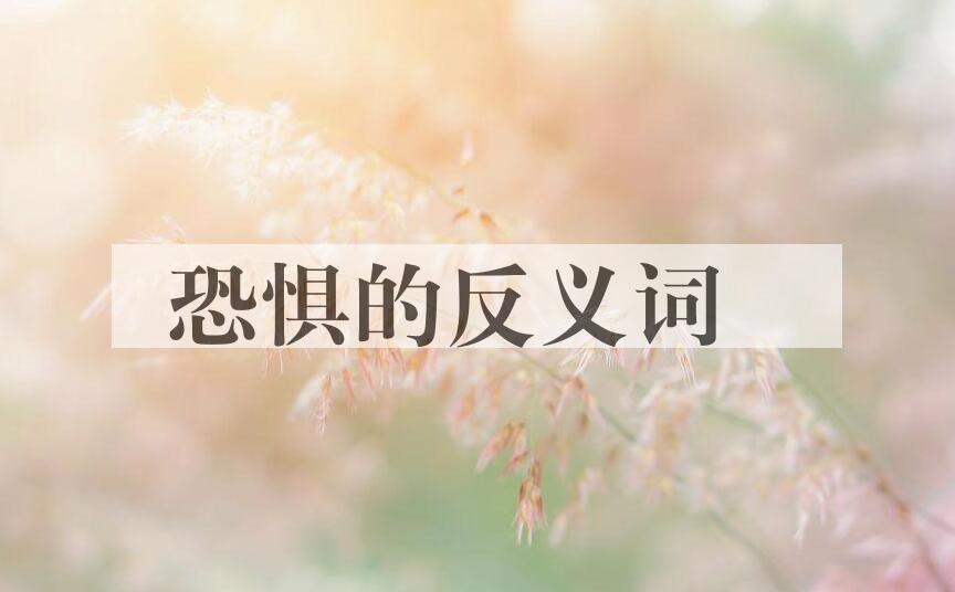 用恐惧造句