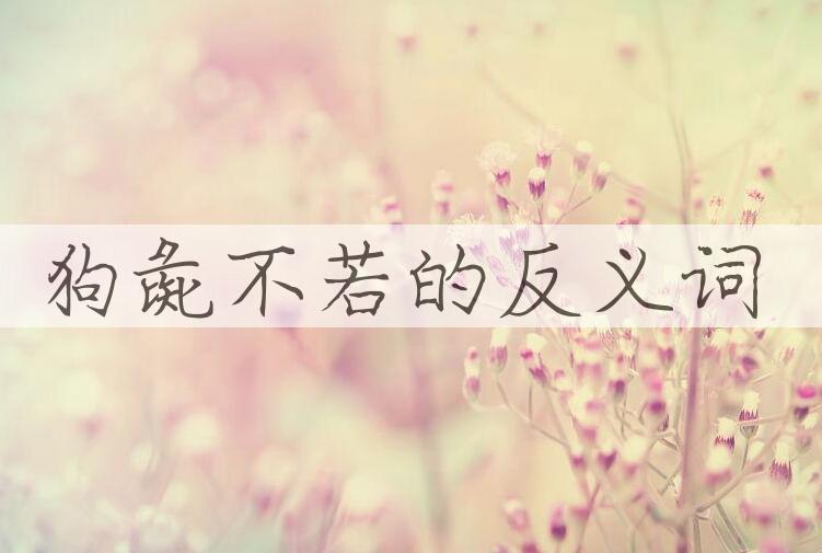 用狗彘不若造句