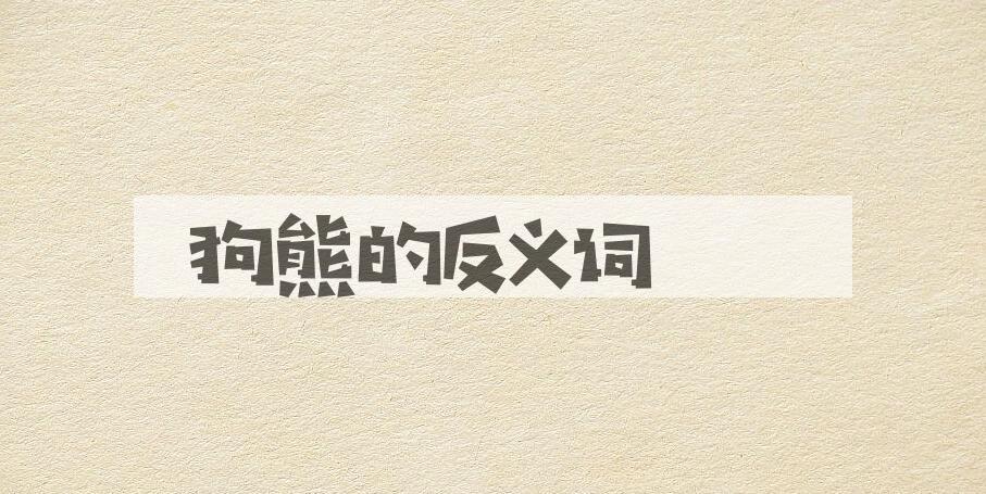 用狗熊造句