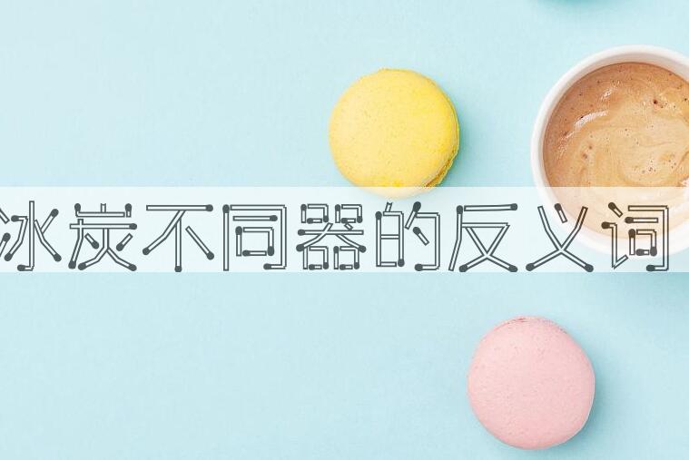 用冰炭不同器造句