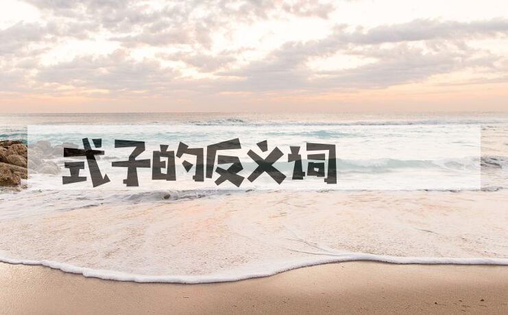 用式子造句