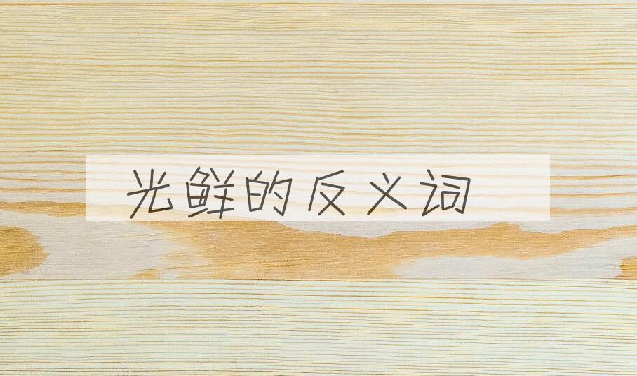 用光鲜造句