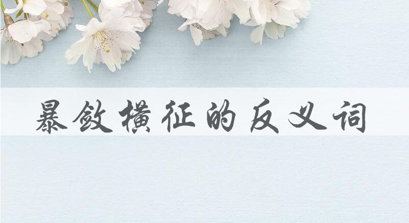 用暴敛横征造句