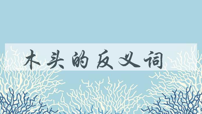 用木头造句