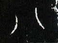 八字的其他书法字体