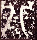 八字的其他书法字体