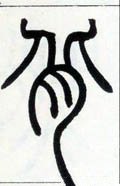 偝字的其他书法字体