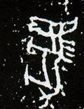 馬字的其他书法字体