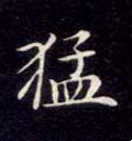 猛字的其他书法字体
