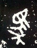 馬字的其他书法字体