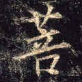 菩字的其他书法字体