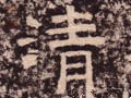 淸字的其他书法字体