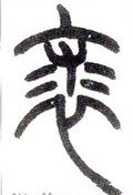 裘字的其他书法字体