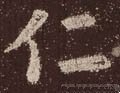 忎字的其他书法字体