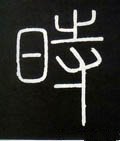 時字的其他书法字体