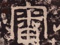 审字的其他书法字体